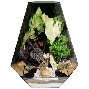 تراریوم مدل رویال سرکج  کد 01